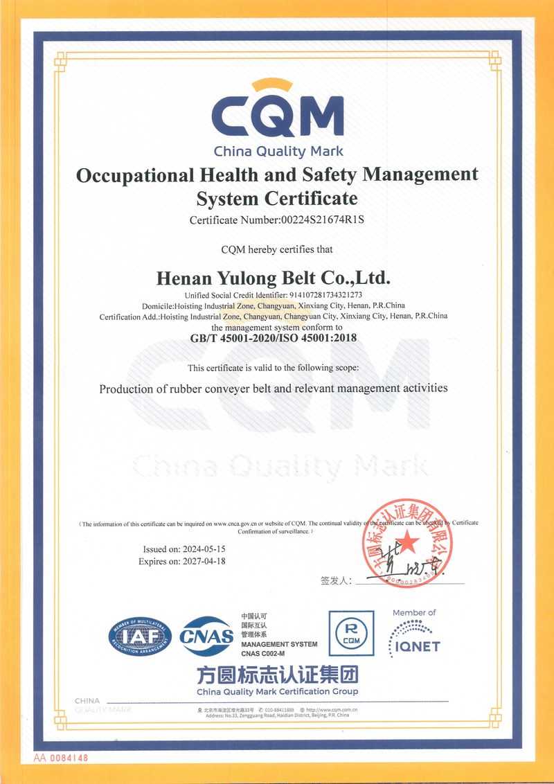 職業健康安全管理體系認證證書(英文)